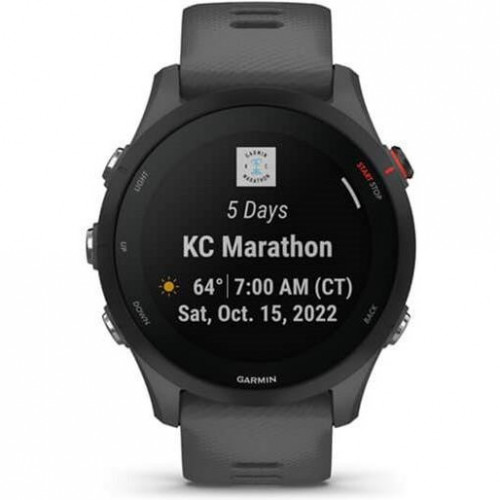 Garmin Forerunner 255 Slate Gray (010-02641-00/10/43)