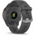 Garmin Forerunner 255 Slate Gray (010-02641-00/10/43)