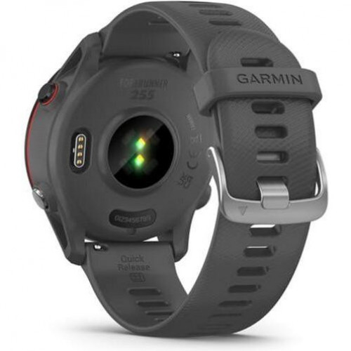 Garmin Forerunner 255 Slate Gray (010-02641-00/10/43)