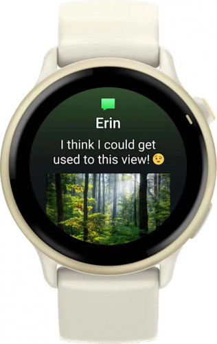 Garmin Vivoactive 6 Lunar Gold with Bone Band (010-02985-01)