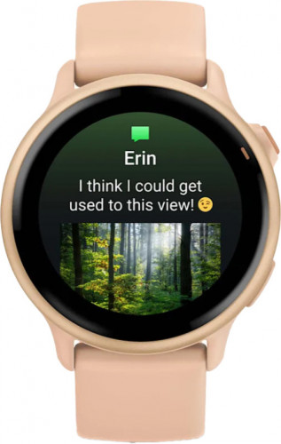 Garmin Vivoactive 6 Metallic Pink Dawn with Pink Dawn Band (010-02985-03)