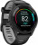 Garmin Forerunner 265 Black Bezel and Case w. Black/Powder Gray Silicone Band (010-02810-00/10/50)