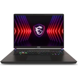 MSI Vector 17 HX A14VHG (A14VHG-1016US)