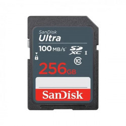 SanDisk 256 GB SDXC UHS-I Ultra SDSDUNR-256G-GN3IN