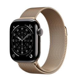Apple Watch Series 11 GPS + Cellular 42mm Slate Tit. Case w. Gold Milanese Loop (MF9K4+MGJ04)