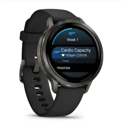 Garmin Venu 4 41 mm Slate with Black Silicone Band (010-03013-02)
