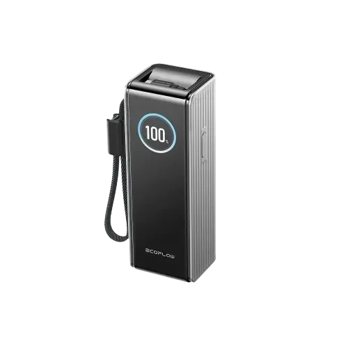 Power Bank EcoFlow RAPID с кабелями 25000mAh серебристый