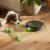 Робот-пилосос з вологим прибиранням iRobot Roomba Max 705 Combo Black