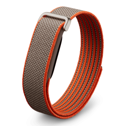 Google Fitbit Air Rye