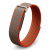 Google Fitbit Air Rye