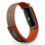 Google Fitbit Air Rye