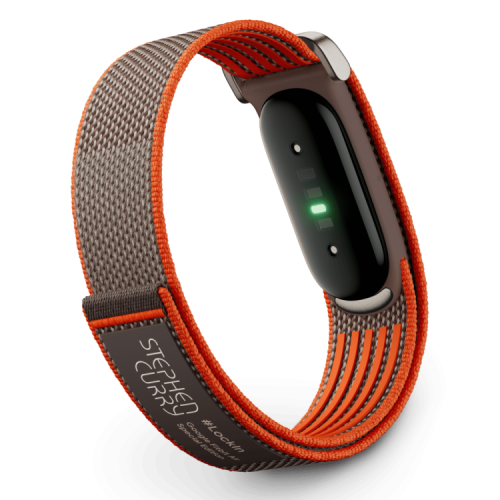 Google Fitbit Air Rye