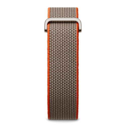 Google Fitbit Air Rye