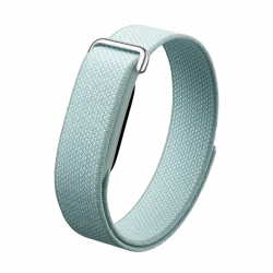 Google Fitbit Air Fog