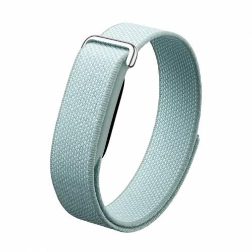 Google Fitbit Air Fog