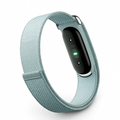 Google Fitbit Air Fog