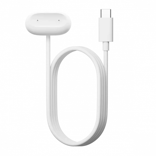 Google Fitbit Air Charging Cable (GA11084-NA)