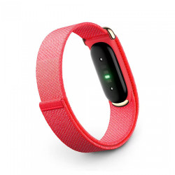 Google Fitbit Air Berry