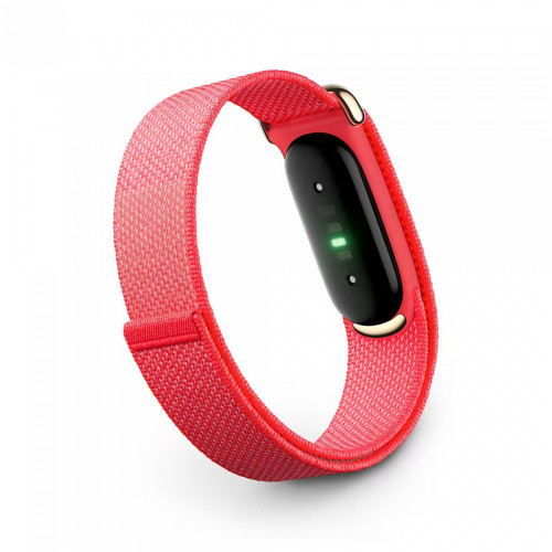 Google Fitbit Air Berry