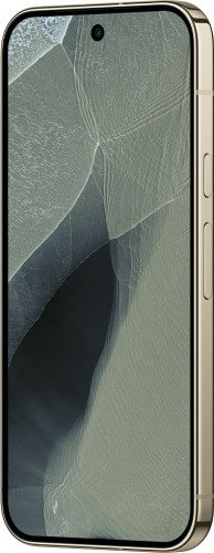 Google Pixel 11 Pro XL 16/1TB Olive