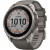 Garmin Fenix 9 Pro inReach Solar 51mm Titanium with Pebble Gray/Silver Gray Silicone Band (010-04339-00/01)