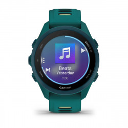 Garmin Forerunner 170 Music Teal Green with Teal Green/Citron Band (010-03920-12)