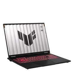 ASUS TUF Gaming A16 FA608UP Black (FA608UP-R7165)